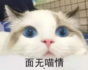 饭圈吃瓜君,揭秘娱乐圈幕后真相