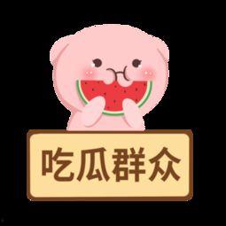自制吃瓜群众材料,揭秘网络热议背后的真相与趣味