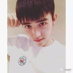 吃瓜明星头像高清图,揭秘高清明星头像背后的故事