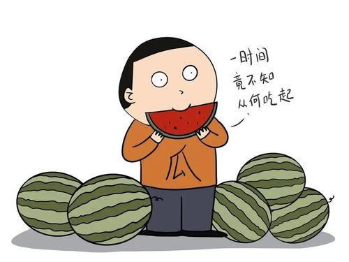 吃瓜少女讲知识,吃瓜少女带你轻松掌握知识世界