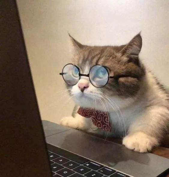 猩猩吃瓜头像男,揭秘校园里的趣味瞬间
