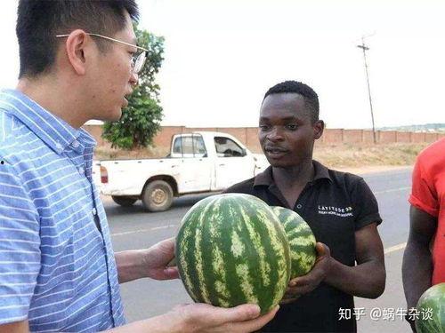 吃瓜很多人,揭秘网络时代的围观文化