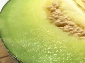 佛山瓜怎么吃,解锁夏日清新美味