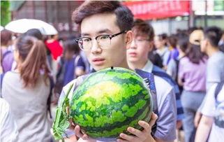 新起点学校吃瓜,吃瓜群众揭秘校园风云