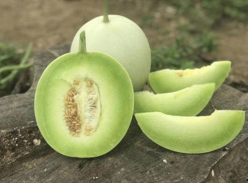 51吃瓜官网今日吃瓜蘑菇,今日吃瓜蘑菇，带你领略娱乐圈新鲜事