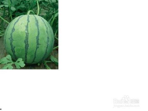 万和城吃瓜事件,揭秘背后真相与网络舆论风暴