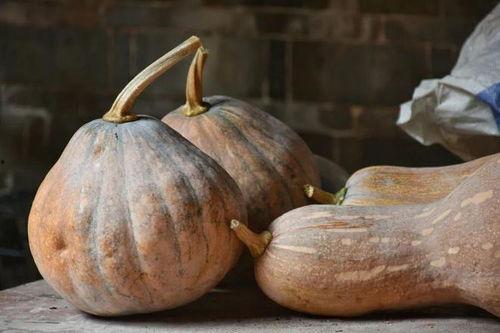 吃瓜不要切错号,轻松辨别真假信息，避免切错号