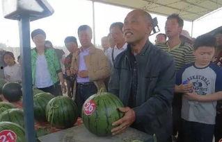 西门吃瓜群众,揭秘网络热点的幕后故事