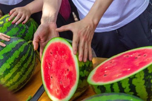 学校吃瓜系统,校园生活新潮流