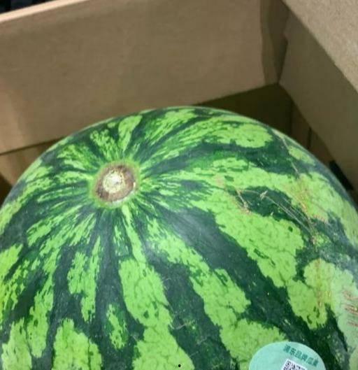 最近吃假瓜事件,网络谣言的传播与真相的追寻