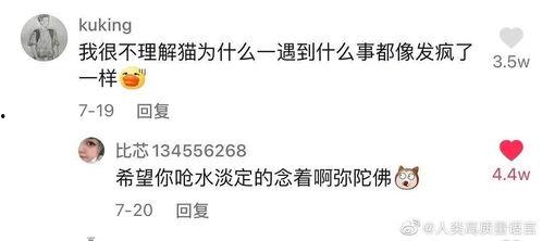 吃瓜忘了没钱,揭秘消费陷阱背后的真相