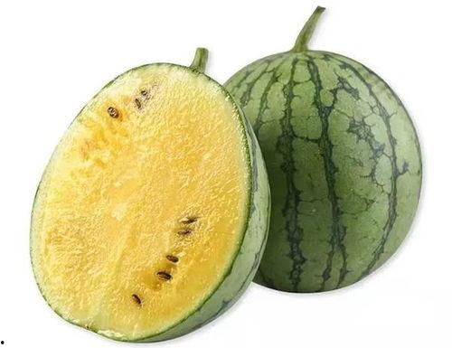 圆形翠绿瓜怎么吃,翠绿圆形瓜的美味食法揭秘