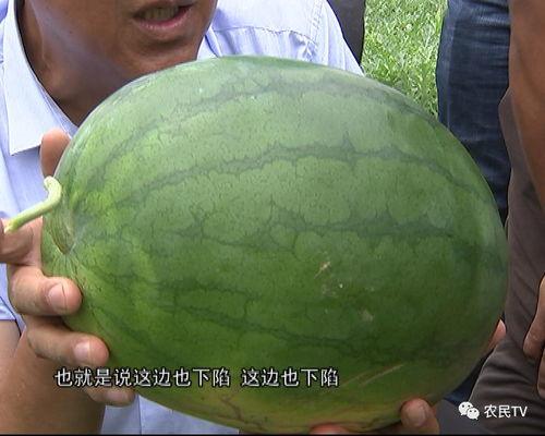 博士吃瓜后续长相,揭秘神秘长相背后的故事