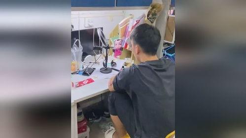 吃瓜群热门视频,一场全民参与的娱乐盛宴