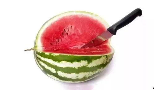 吃瓜等级图片,从初学者到资深瓜农的蜕变之路