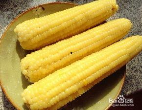 宁阳菏泽吃瓜,一场别开生面的吃瓜盛宴