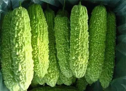 南宁吃瓜表演系,吃瓜表演，夏日里的欢乐盛宴