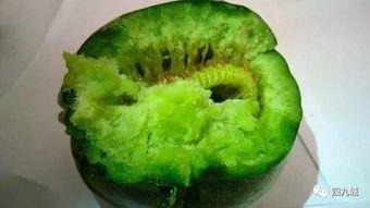 绿沙瓜怎么吃,绿沙瓜的多样食用方法探索