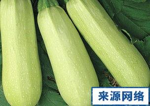 怀孕可吃矮瓜,矮瓜助力母婴健康