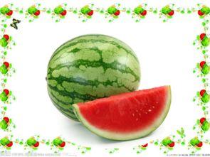 吃瓜网课,揭秘网络课堂中的趣味与争议