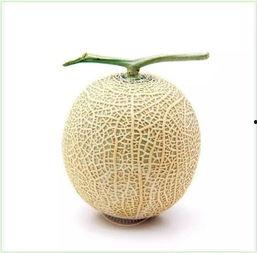 吃瓜群众melon