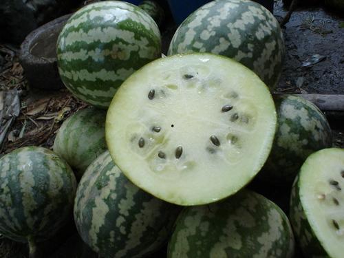 绿宝瓜怎么吃呢,轻松解锁美味新体验