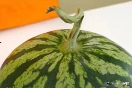 青绿瓜怎么吃,探索清新美味的新选择