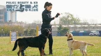 津警花与警犬吃瓜,津警花与警犬的甜蜜“瓜”事