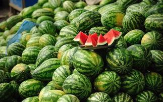 吃瓜家族2,揭秘娱乐圈背后的秘密与真相