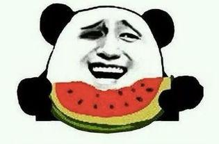 会长吃瓜相关话题