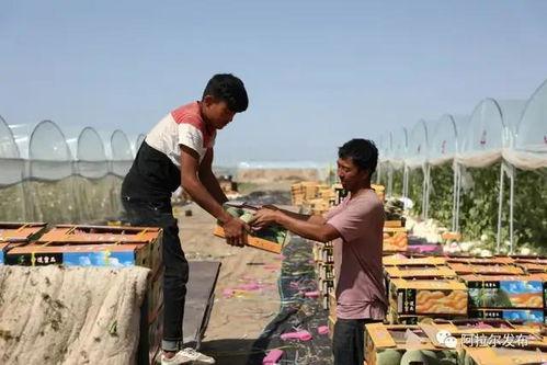 吃瓜群众迅速就位