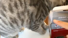 小屁酱吃瓜,揭秘娱乐圈那些不为人知的幕后故事