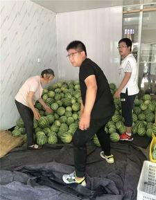 常州冶金江怡的瓜在哪吃,探寻常州冶金江怡瓜的美食之旅